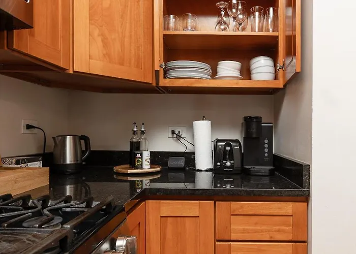 Wicker Park 2br Modern Dv3 * Chicago